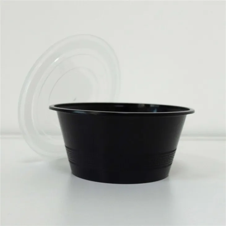 Disposable Plastic Bowls - Ideal for One-Time Use (6)