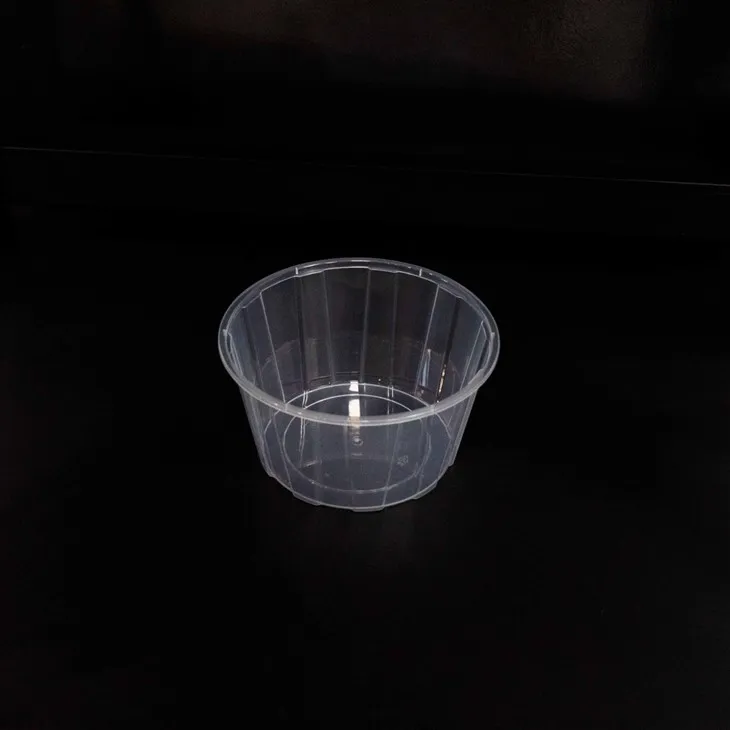 Disposable Plastic Bowls - Perfect for Catering and Takeout (2)