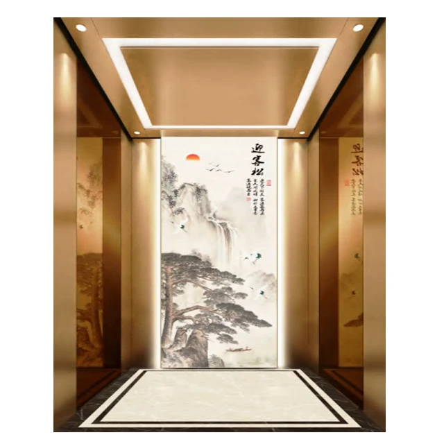Passenger Elevator 450kg 600kg 630kg 1250kg For Sale Hotel high quality